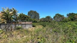 repurpose a coffee farm into a turn key mixed use development complex view 005