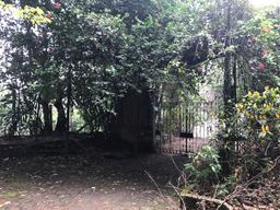 land for construction project in hacienda vieja view 007