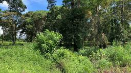 land for residential development in lomas de ayarco view 010