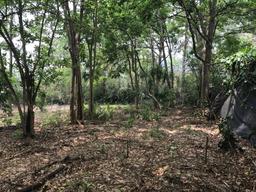 land for construction project in hacienda vieja view 011