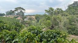 cul de sac residential development lot view 015