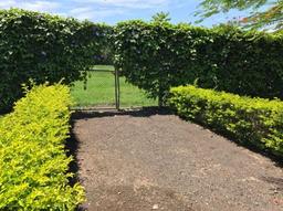 country estate for sale in alajuela view 011