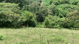 residential development site in guadalupe view 009