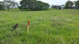 residential development site in alajuela view 004