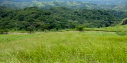residential parcel with valley views in alajuela view 005