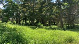 land for residential development in lomas de ayarco view 007