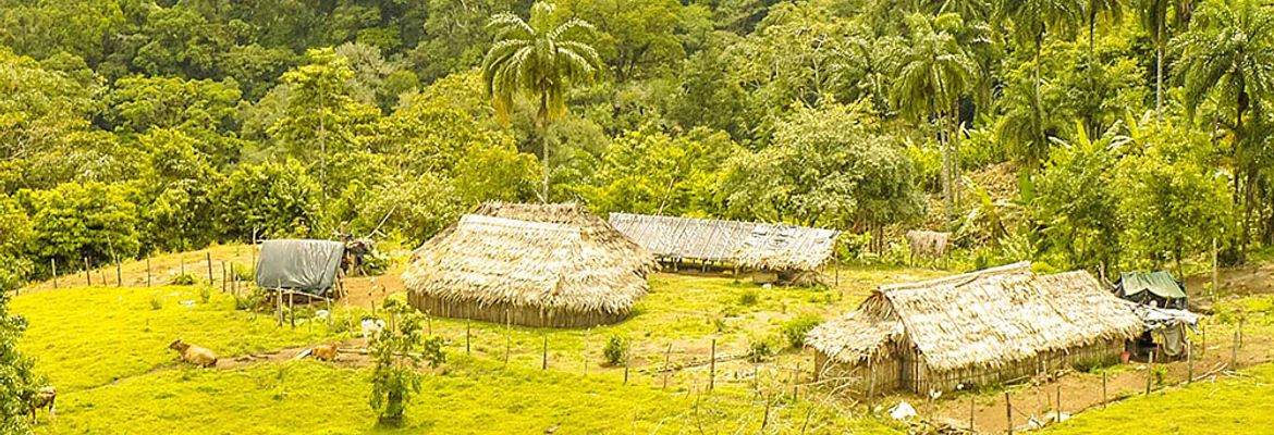 three shacks forming the cabecar village pacuare