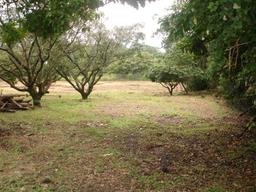 land for commercial or industrial development in alajuela view 005