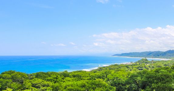 mal pais santa teresa coastline view from canopy malpais