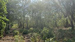 santa ana route 27 frontage 8 8 acre parcel buy one or all three parcel view 017