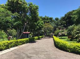 country estate for sale in alajuela view 022