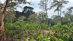 cul de sac residential development lot view 027