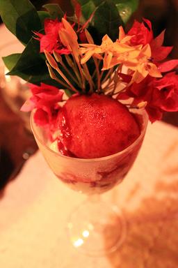 exotica cool passion sorbet 6