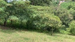 residential development site in guadalupe view 008