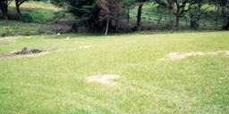 rectangular shaped lot for development view 002