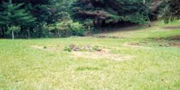 rectangular shaped lot for development view 007
