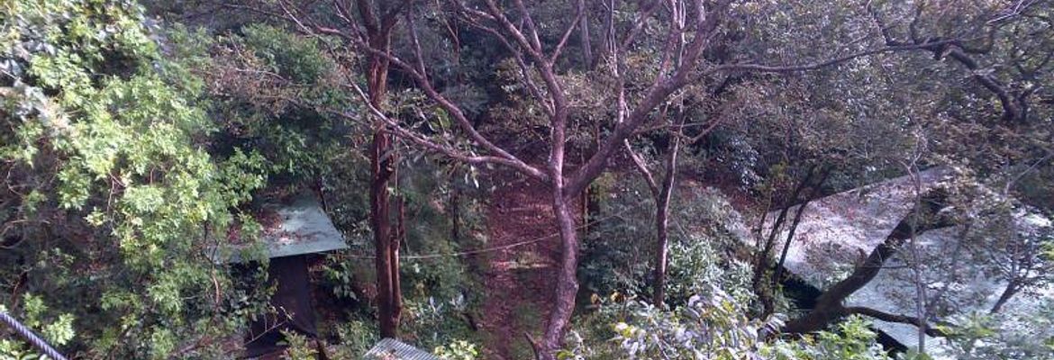 prime land for industrial or commercial development view 003