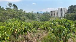 cul de sac residential development lot view 021