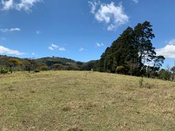 land for industrial development near cartago city view 003