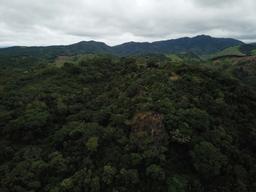 agricultural land for sale one hour away from liberia airport view 003