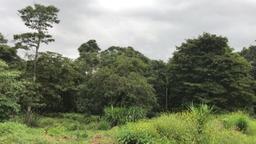 land for residential development in lomas de ayarco view 002