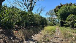 convert coffee farm into a mixed use development complex view 004