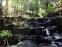 small farm in escazu for residentail development view 003