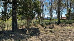 vacant lot under protected zone for development on route 32 san jose view 004