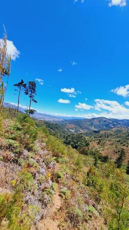 lots in the mountains of cartago for sale view 013