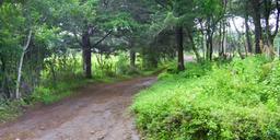 rectangular shaped lot for development view 003