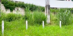 land for affordable housing complex development in goicoechea view 005