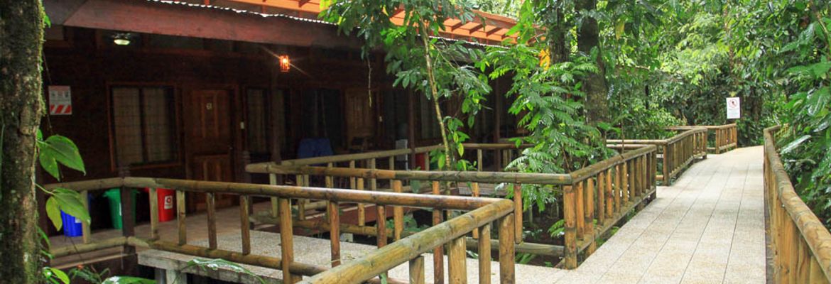 evergreen lodge rooms 1
