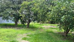 lot for development in the town of moravia view 002