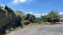 convert coffee farm into a mixed use development complex view 001