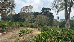 cul de sac residential development lot view 011