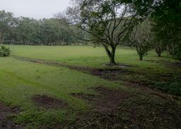 land for residential or industrial use near alajuela airport sjo view 011