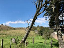 land for industrial development near cartago city view 002