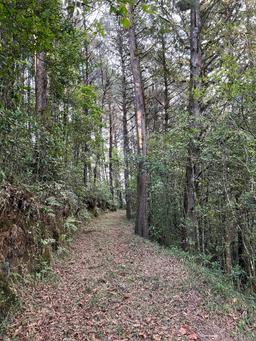 tourist development site with three rental units in cartago view 008