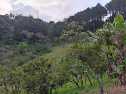 lots in the mountains of cartago for sale view 004