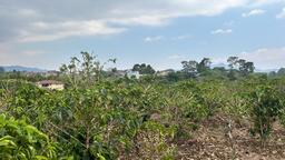 cul de sac residential development lot view 002