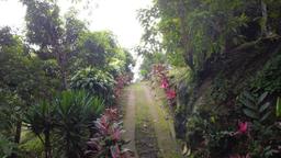 land with structures for wildlife rescue center in santa ana view 005