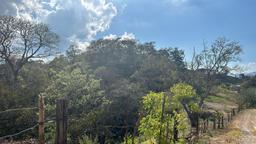 santa ana route 27 frontage 8 8 acre parcel buy one or all three parcel view 015