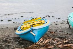 kayak platanares mangroves in puerto jimenez