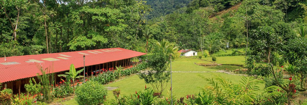 hot springs lodge overview 1