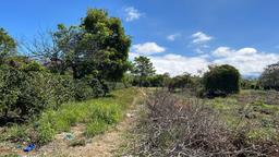 coffee estate construction site in santo domingo view 001