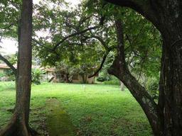 prime development land for sale in escazu view 001