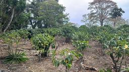 cul de sac residential development lot view 007