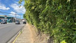 land for residential project in heredia view 024