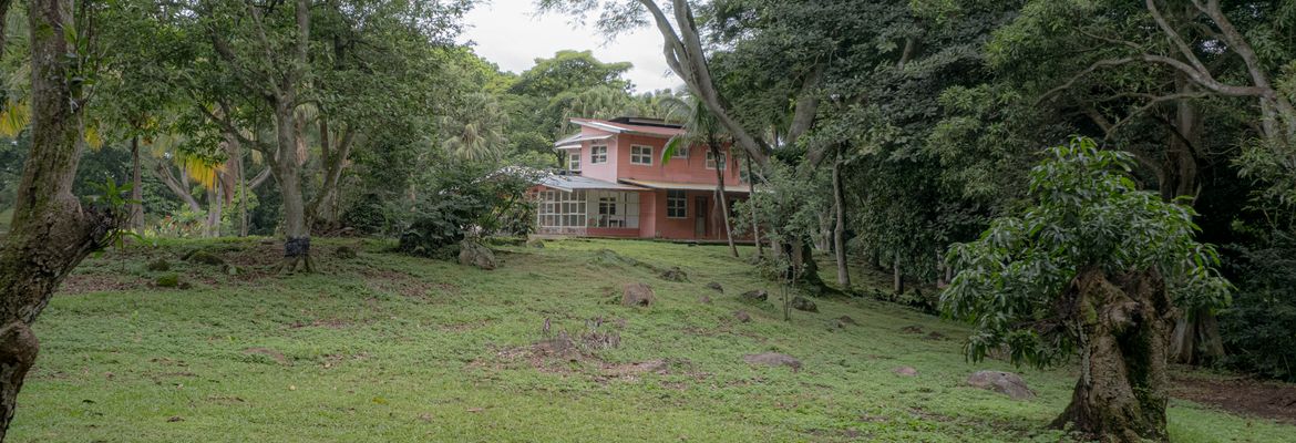 land for residential or industrial use near alajuela airport sjo view 010