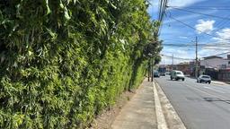 land for residential project in heredia view 016